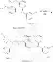 Fig. 100 - KINASE INHIBITORS
