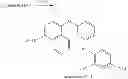 Fig. 121 - KINASE INHIBITORS