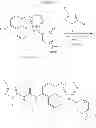 Fig. 13 - KINASE INHIBITORS