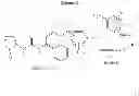 Fig. 14 - KINASE INHIBITORS