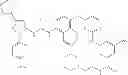 Fig. 188 - KINASE INHIBITORS