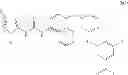 Fig. 229 - KINASE INHIBITORS