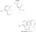Fig. 23 - KINASE INHIBITORS