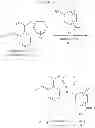 Fig. 24 - KINASE INHIBITORS