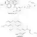 Fig. 63 - KINASE INHIBITORS