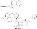 Fig. 64 - KINASE INHIBITORS