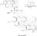 Fig. 67 - KINASE INHIBITORS