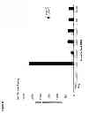 Fig. 10 - Repressor on IFN-λ promoter and siRNA against ZEB1 and BLIMP-1 to increase IFN-λ gene activity