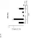 Fig. 22 - Repressor on IFN-λ promoter and siRNA against ZEB1 and BLIMP-1 to increase IFN-λ gene activity
