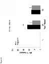 Fig. 32 - Repressor on IFN-λ promoter and siRNA against ZEB1 and BLIMP-1 to increase IFN-λ gene activity