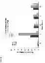 Fig. 40 - Repressor on IFN-λ promoter and siRNA against ZEB1 and BLIMP-1 to increase IFN-λ gene activity