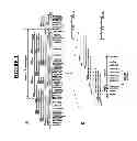 Fig. 02 - Lafora's disease gene