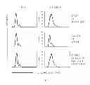 Fig. 02 - Antibody against the CSF-1R