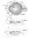 Fig. 02 - Ocular Lens