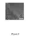 Fig. 09 - PVA-PAA Hydrogels