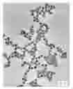 Fig. 01 - Metal nanoparticle composite and method for producing the same
