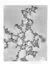 Fig. 02 - Metal nanoparticle composite and method for producing the same