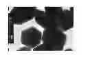 Fig. 01 - Hexagonal prism-shaped zinc oxide particles, method for production of the same, and cosmetic, heat releasing filler, heat releasing resin composition, heat releasing grease, and heat releasing coating composition comprising the same