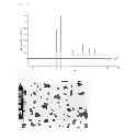 Fig. 06 - Hexagonal prism-shaped zinc oxide particles, method for production of the same, and cosmetic, heat releasing filler, heat releasing resin composition, heat releasing grease, and heat releasing coating composition comprising the same