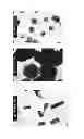 Fig. 09 - Hexagonal prism-shaped zinc oxide particles, method for production of the same, and cosmetic, heat releasing filler, heat releasing resin composition, heat releasing grease, and heat releasing coating composition comprising the same