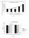 Fig. 07 - SILANE-TERMINATED POLYURETHANE AND RUBBER COMPOSITE MATERIALS