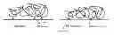 Fig. 01 - Modification of surfaces with polymers