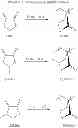 Fig. 16 - Polymerization catalysts, methods and products