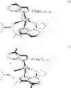 Fig. 29 - Polymerization catalysts, methods and products