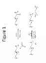 Fig. 02 - Amphiphilic graft copolymers