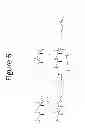 Fig. 08 - Amphiphilic graft copolymers