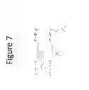 Fig. 09 - Amphiphilic graft copolymers