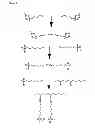 Fig. 07 - Ionic Viscoelastics and Viscoelastic Salts