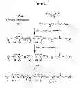 Fig. 03 - Biodegradable nitric oxide generating polymers and related biomedical devices