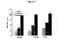 Fig. 06 - Biodegradable nitric oxide generating polymers and related biomedical devices