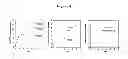 Fig. 09 - Biodegradable nitric oxide generating polymers and related biomedical devices