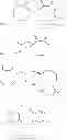 Fig. 22 - Monomers and polymers for functional polycarbonates and poly(ester-carbonates) and PEG-co-polycarbonate hydrogels