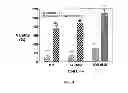 Fig. 04 - MULTI-DRUG LIGAND CONJUGATES