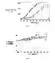 Fig. 07 - MULTI-DRUG LIGAND CONJUGATES