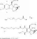 Fig. 122 - MULTI-DRUG LIGAND CONJUGATES