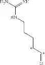 Fig. 21 - MULTI-DRUG LIGAND CONJUGATES