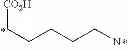 Fig. 53 - MULTI-DRUG LIGAND CONJUGATES
