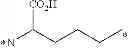 Fig. 57 - MULTI-DRUG LIGAND CONJUGATES