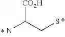 Fig. 62 - MULTI-DRUG LIGAND CONJUGATES