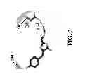 Fig. 04 - FAR-RED FLUORESCENT PROTEINS WITH IMPROVED DETECTABILITY BY RED EXCITATION LIGHT