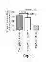 Fig. 06 - PARTICLES AND OTHER SUBSTRATES USEFUL IN PROTEIN PURIFICATION AND OTHER APPLICATIONS