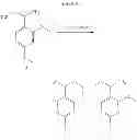 Fig. 28 - C-terminal amidation of polypeptides