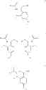 Fig. 41 - C-terminal amidation of polypeptides