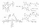 Fig. 01 - Multimeric peptidomimetic fibrosis specific dual-modality probes