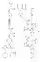 Fig. 02 - Multimeric peptidomimetic fibrosis specific dual-modality probes