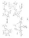 Fig. 06 - Multimeric peptidomimetic fibrosis specific dual-modality probes